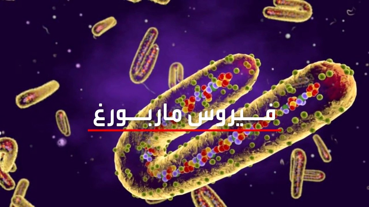 فيروس ألماني قاتل.. ولا علاج له