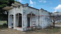 ABELHAS NO POSTO DE GASOLINA ABANDONADO