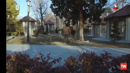 İran'da öpüşen çiftin görüntülerini yayımlayan devlet kanalı özür diledi