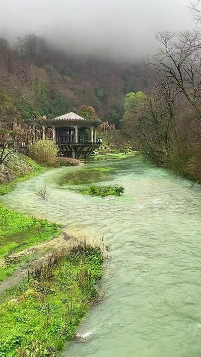 Nature