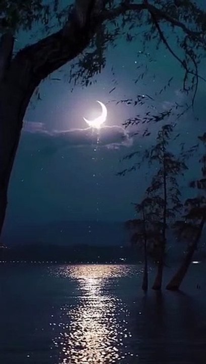 Beautiful Moon-Good Night Status--Nature Whatsapp Status Video --#moonlight
