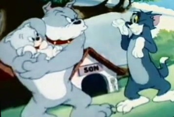 Tom and Jerry Tom and Jerry E044 – Love That Pup