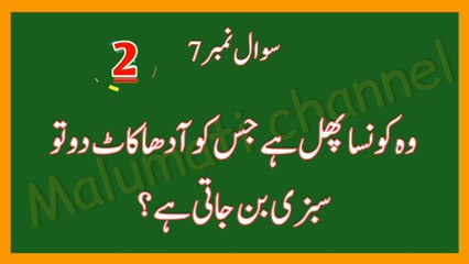 سوال و جواب اور پہیلیاں in Urdu | اسلامک معلومات اور معمہ حل