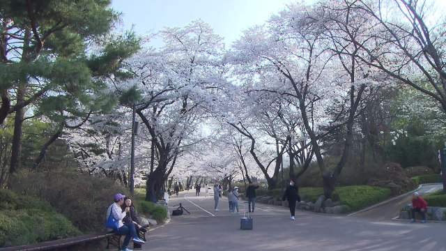 [날씨] 때 이른 더위 계속...건조한 날씨에 산불 비상 / YTN