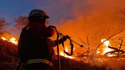 경북 군위군 과수원에서 불..."부산물 태우다 불길 번져" / YTN