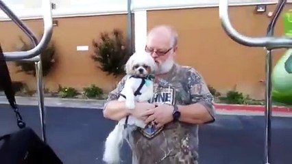 Failure of cats, dogs    Funny Animal Videos weekly 2015    Funny Berry Animals #25