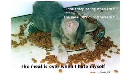 funny pictures animal funny captions