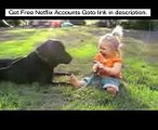 Labradors Are Awesome Part Compilation - Funny Animal   funny dog videos   funny dog vines, dog 23