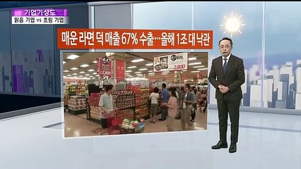 [기업기상도] 해외에서 활짝 갠 기업 vs 국내에서 흐린 기업