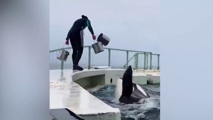 Funny Animal That Will Absolutely Brighten Up Your Day