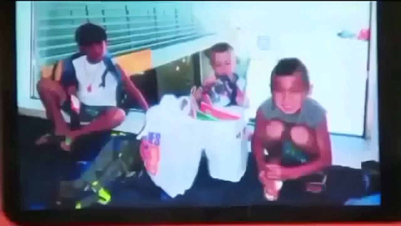 Big Cat Attacks Boy Funny Animal Videos (2)