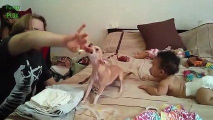 Funny Dogs Protecting Babies Compilation 2015
