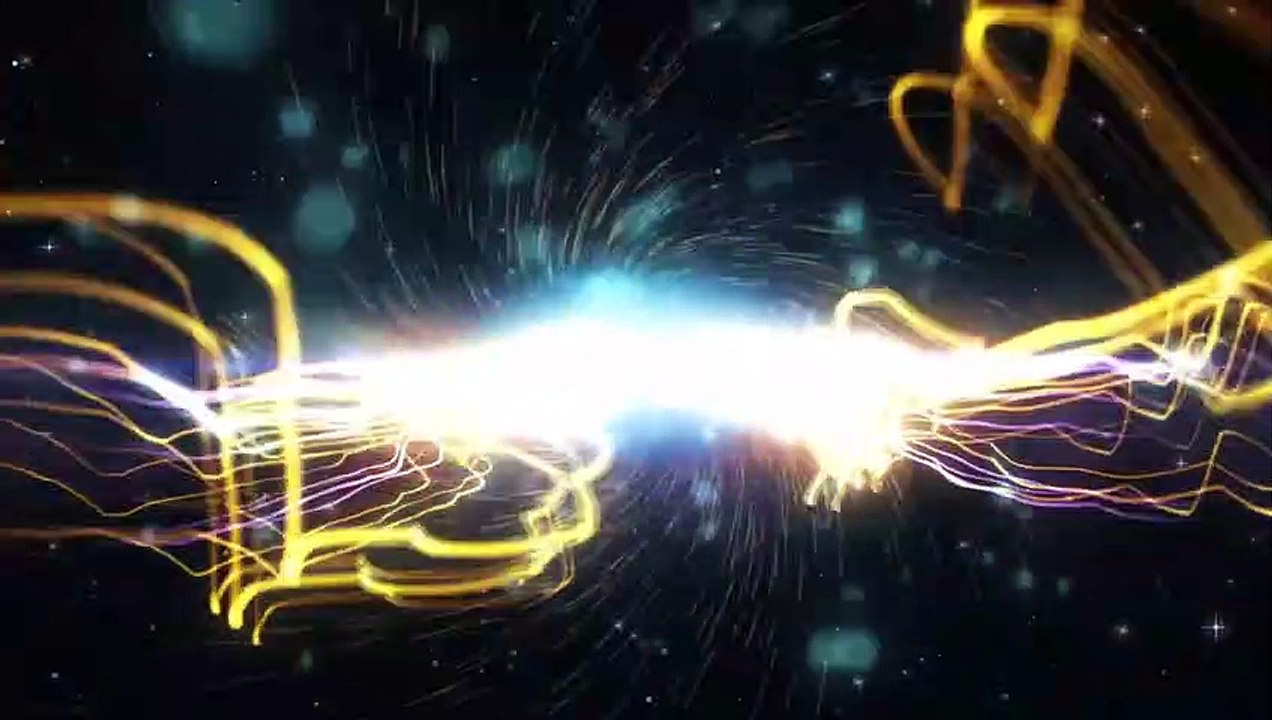 BEST ANIMAL VINES 2014   New Funniest Vines Compilation   July