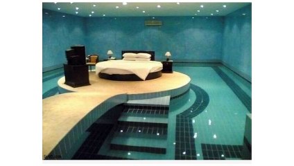 funny animal pictures pictures