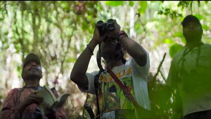 Beautiful Bird of Tanah Papua Indonesia