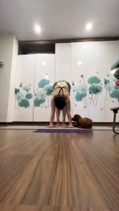 HANDSTANDING  POSE - LidiYoga