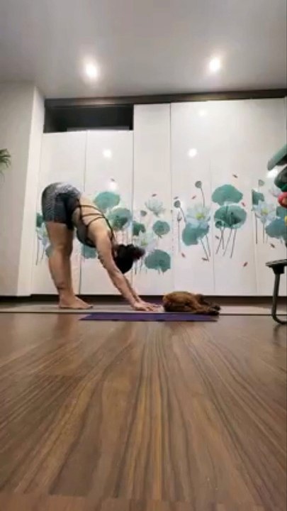 HANDSTANDING - LidiYoga