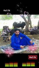 c6e0cf48b9ac1bf35734eab0c5c27f11