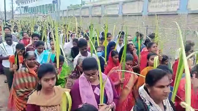 குருத்தோலை ஞாயிறு.. ஊர்வலமாக சென்ற கிறிஸ்தவர்கள்.!!