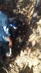 निगम अमले ने एक दर्जन स्थानों पर पकड़ी पानी की चोरी