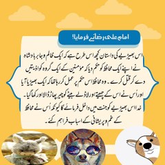 Rasool akram saw ki moula Ali  a.s ko 6 naseehatain