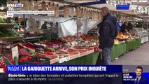 Fraises: la Gariguette arrive, son prix inquiète