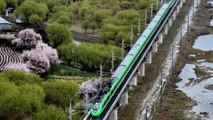 Çin'in Tibet Bölgesinde Yüksek Hızlı Trenin Rotası Bahar Renklerine Büründü