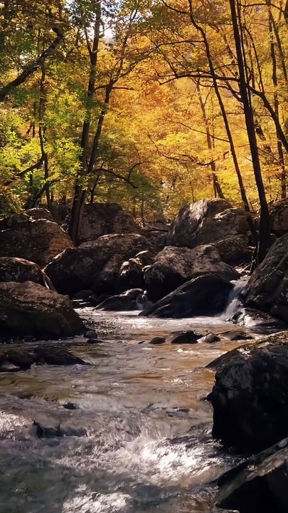 nature beautiful