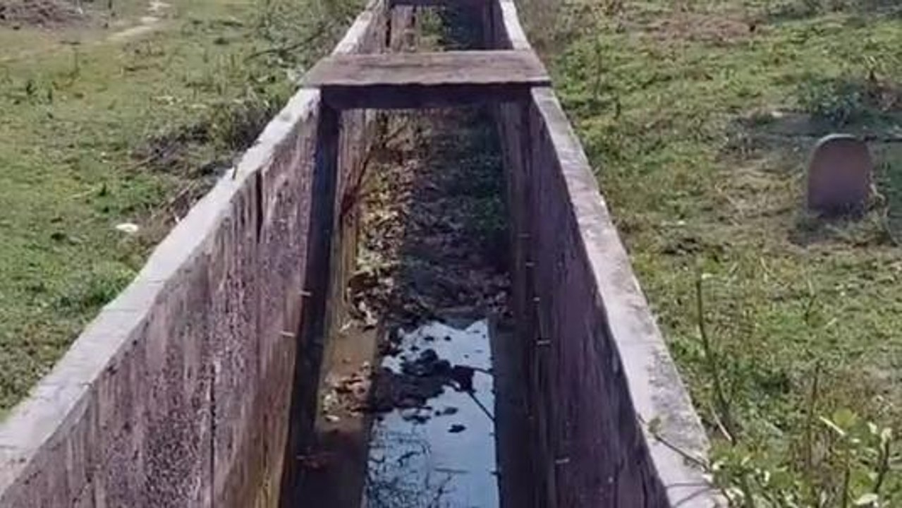 गौतमबुद्ध नगर: जिले में तीन जगहों पर भीषण हादसा, एक की मौत, तीन गंभीर घायल