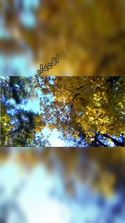 Quotes About life |Muhammad Arif Gohar| Urdu Quotes Famous Urdu writers quotations.