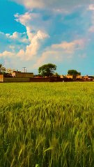 heart touching nature video 2023 || Beautiful Nature Video of Village || Amazing Background Video