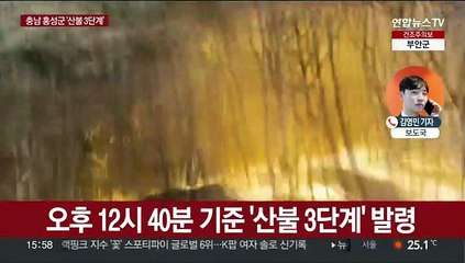 충남 홍성 '산불 3단계'…진화대원 200여 명 투입
