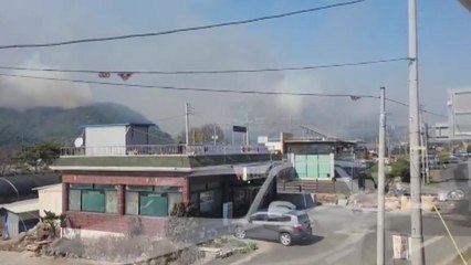 충남 보령 주포면 산불 발생...진화 중 / YTN