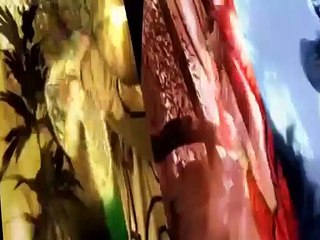 Power Rangers Jungle Fury E004 - A Taste of Poison