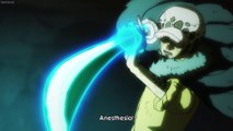 Law and Kid's Awakened Fruit Attacks | One Piece 1056