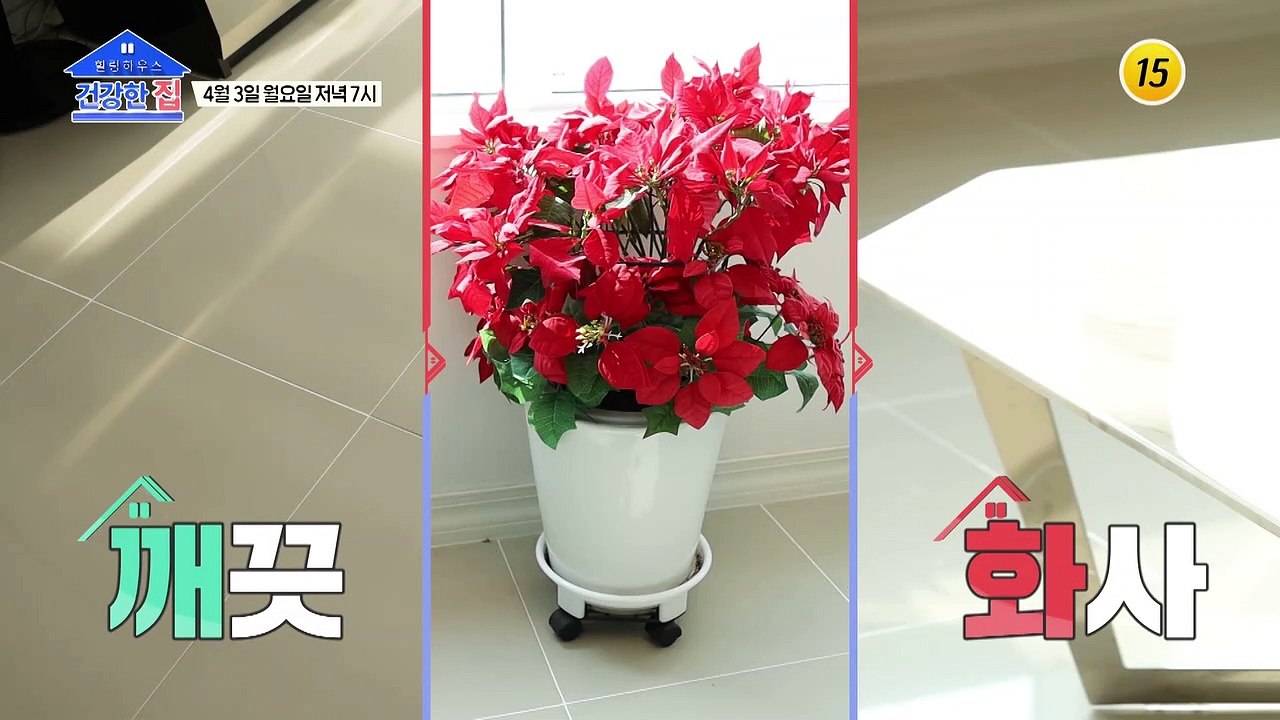 위기를 극복하고 뼈 건강을 되찾은 김형자의 건강 비결은?_건강한 집 136회 예고 T...