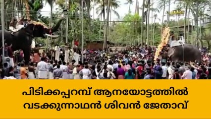 ആനയോട്ടത്തിൽ വടക്കുന്നാഥൻ ശിവന് ഒന്നാം സ്ഥാനം