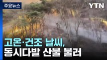 고온·건조 날씨, 동시다발 산불 불러...내일까지 비상 / YTN