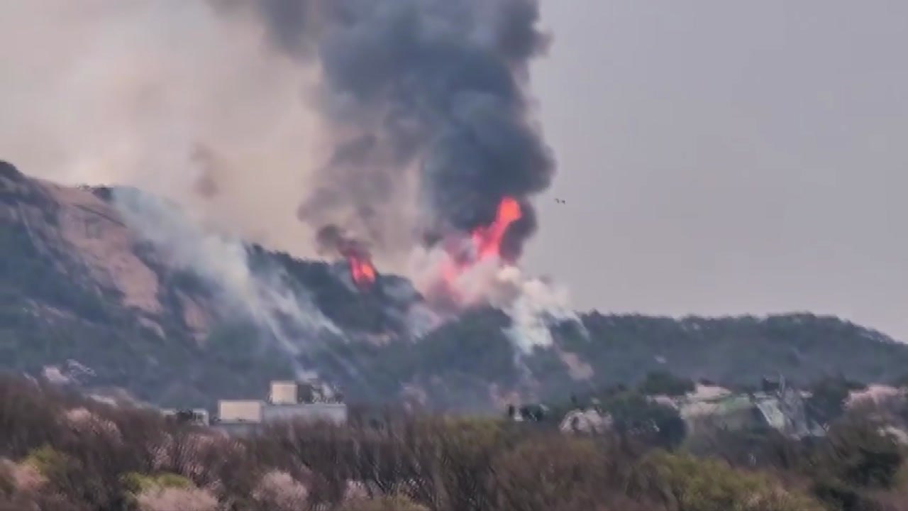 서울 인왕산 산불 5시간 만에 진화..."잔불 정리 중" / YTN