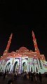 Sheikh Zayed Grand Mosque Abu Dhabi 3D Lights Works