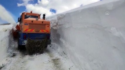 Van'da kapalı yolları ulaşıma açma çalışmaları sürüyor