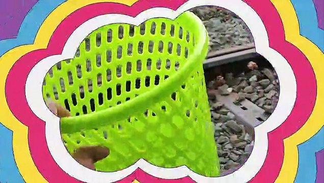 Looking for Toys From the North Pole to the East Pole