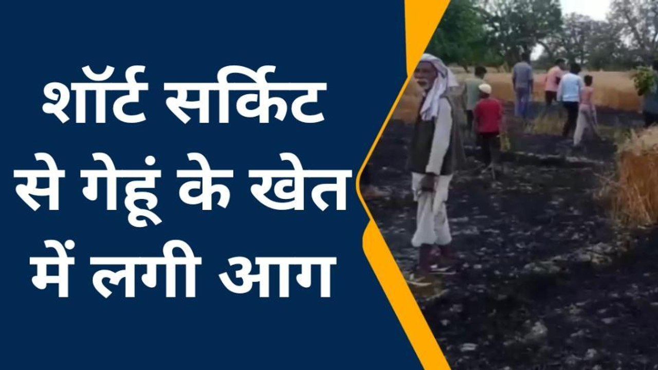 फतेहपुर: शार्ट सर्किट से खड़ी फसल में लगी आग, एक बीघा गेंहू जलकर खाक