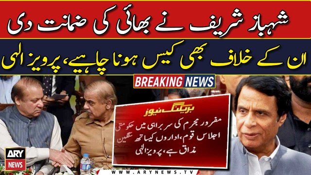 Case should be registered against Shehbaz Sharif for submitting 'fake' undertaking: Pervaiz Elahi