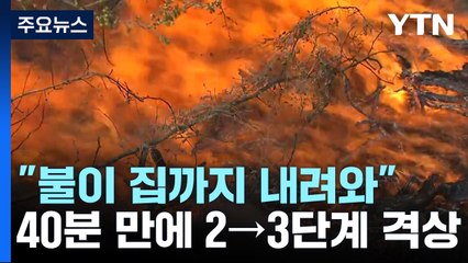 충남 홍성군 산불 3단계 발령..."불이 집까지 내려 왔어요" / YTN