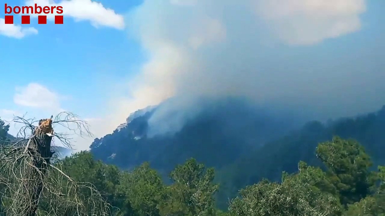 Los bomberos trabajan en la extinción del incendio de Gandesa / BOMBERS