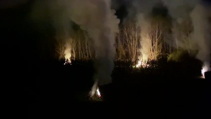 Los agricultores del Bierzo hacen frente a las heladas para salvar la fruta con alpacas ardiendo