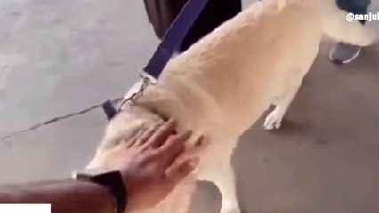 হাওড়া:দুরপাল্লার ট্রেনে যাত্রীর সঙ্গে যাবে পোষা কুকুর,ঘোষণা রেলের, জানুন নিয়ম