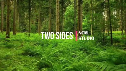 Two Sides  - SefChol: Reggae Music, Happy Music, No Copyright Music @NCMstudio18