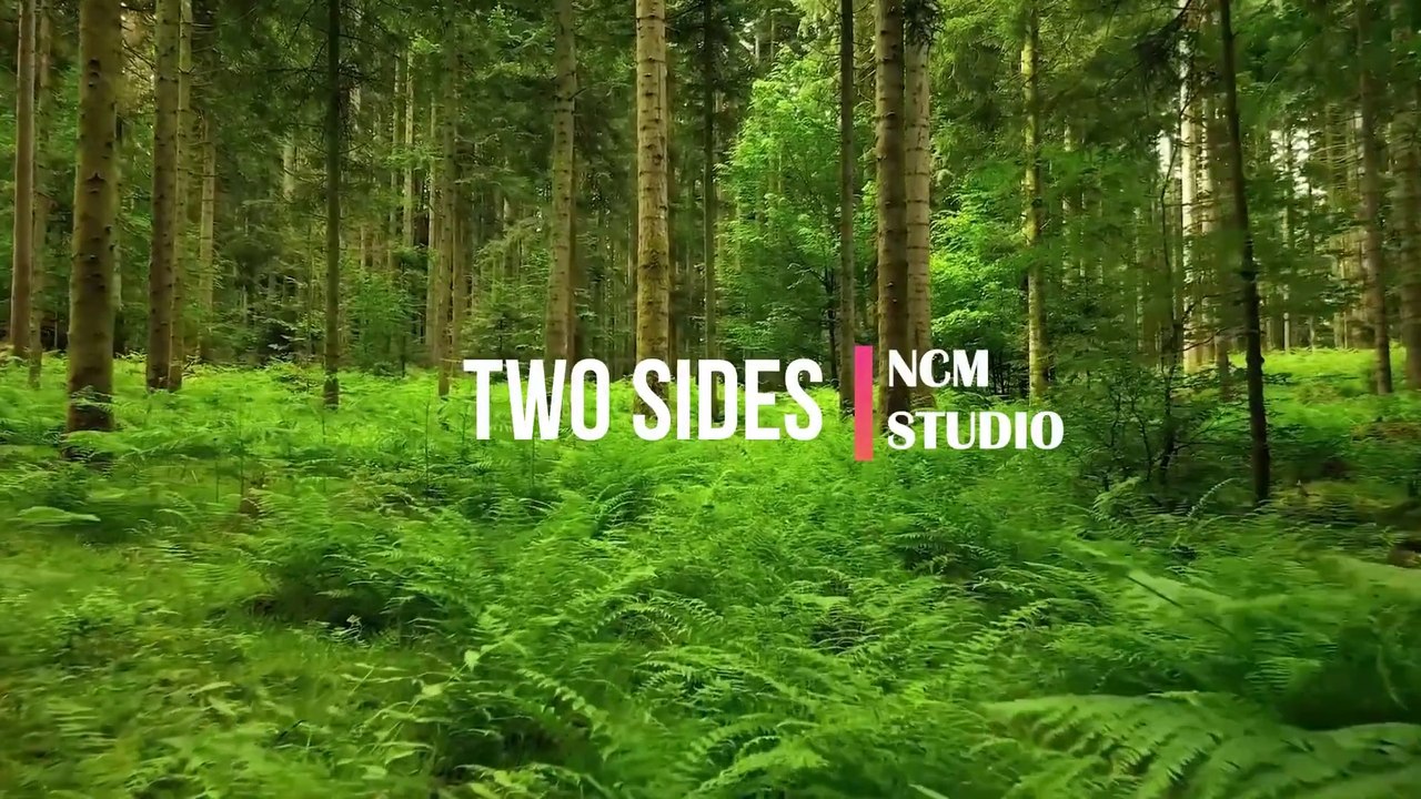 Two Sides  - SefChol: Reggae Music, Happy Music, No Copyright Music @NCMstudio18